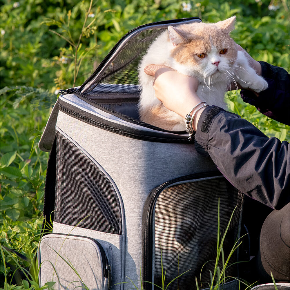 Portable Folding Travel Large Pet Carrier Backpack