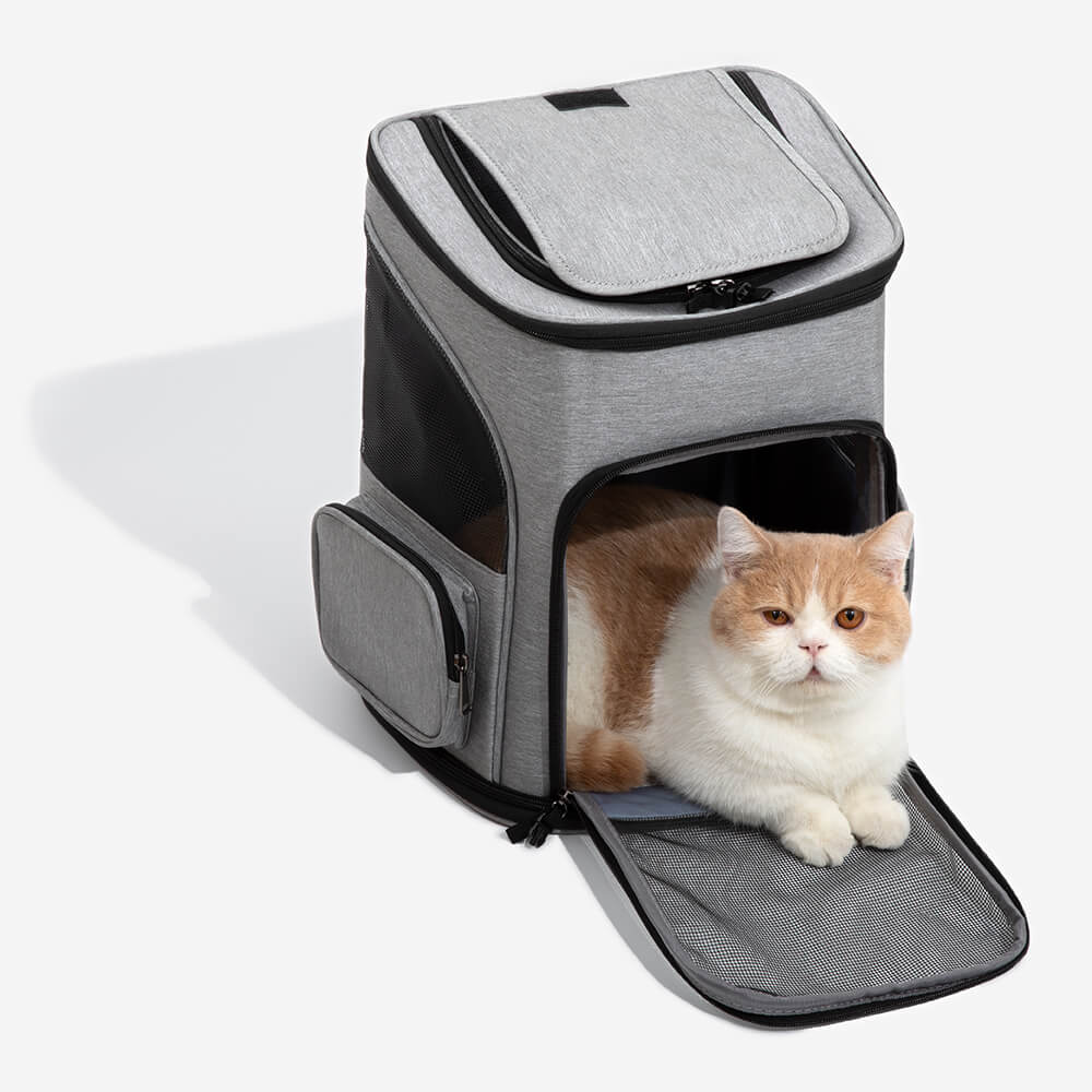 Portable Folding Travel Large Pet Carrier Backpack