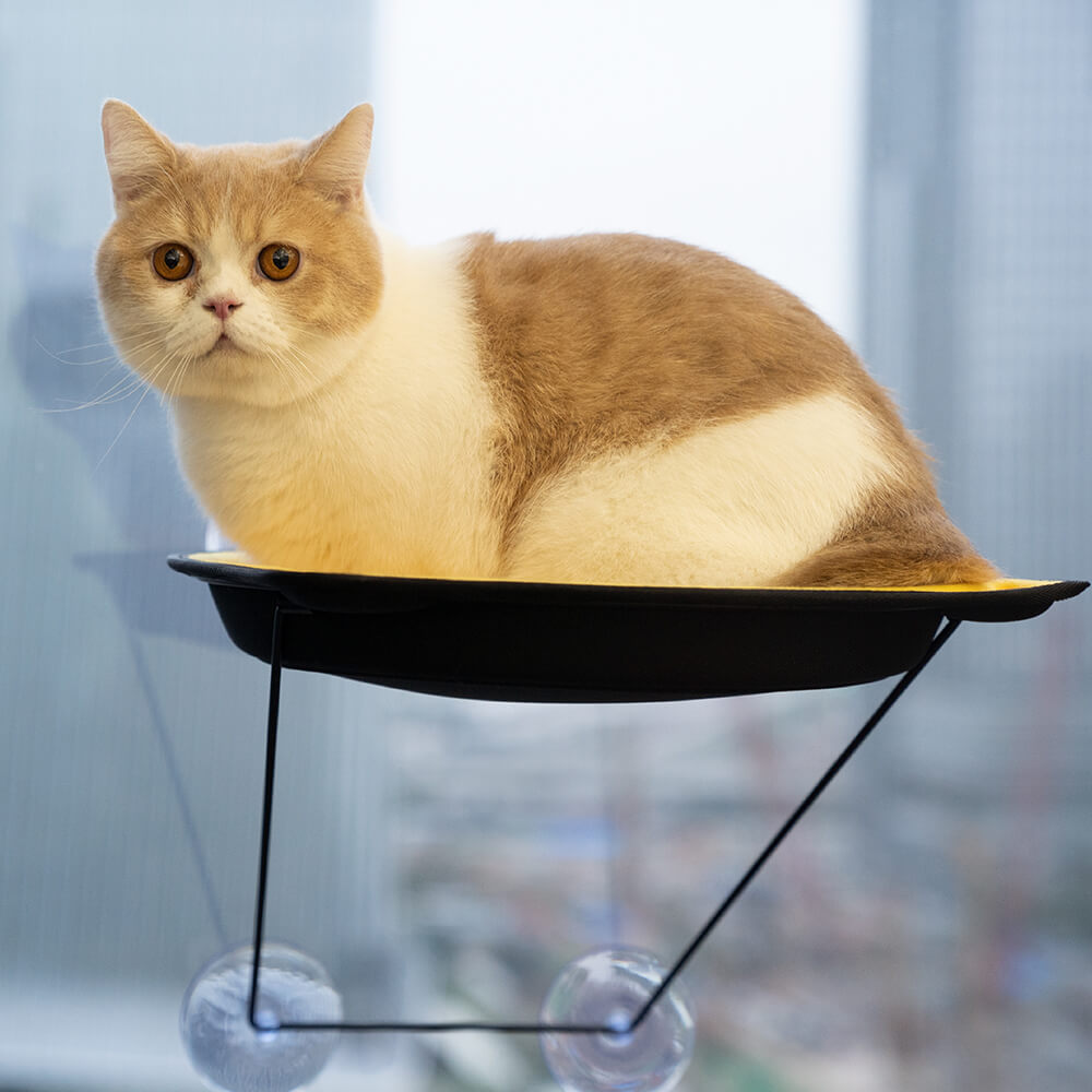 Window Perch Seat Suction Cups Cat Bed