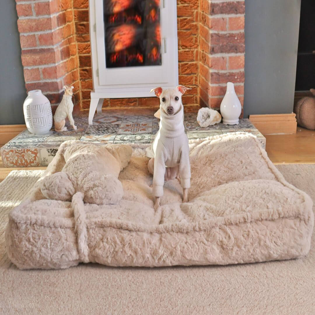 Warming Fluffy Bone Cloud Shape Calming Dog Bed