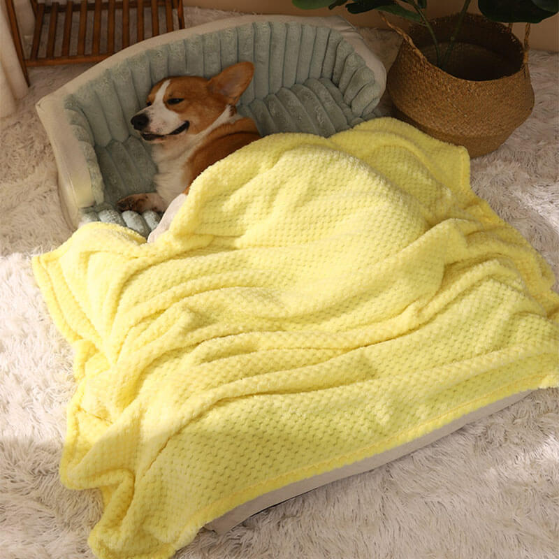 Warm & Secure Thick Sleeping Pet Sofa Bed