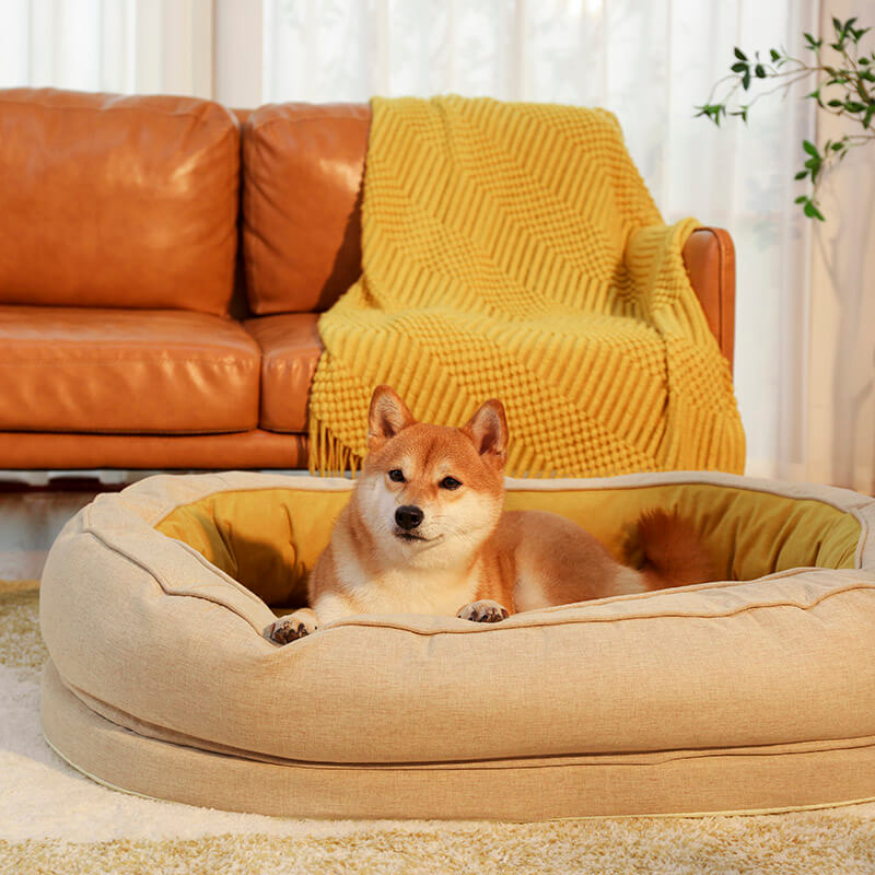 Dog Bed - Donut