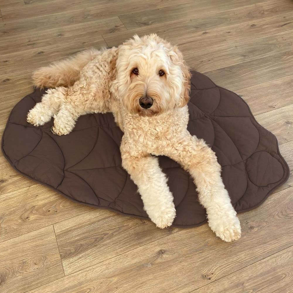 Leaf Shape Dog Blanket