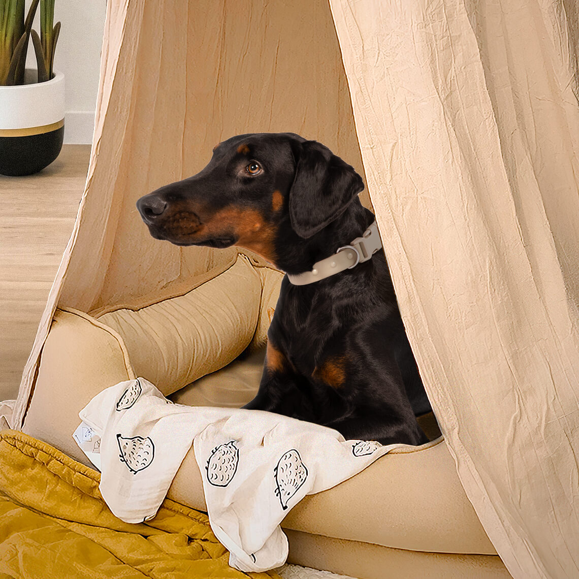 Soft Cozy Dog Tent Dog Teepee